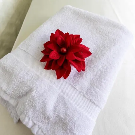 فندق مبيت وإفطار Mary Sant'elia 3*